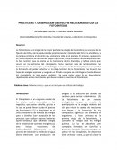 OBSERVACION DE EFECTOS RELACIONADOS CON LA FOTOSINTESIS