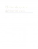 Los mejores Beneficios y usos del cannabis