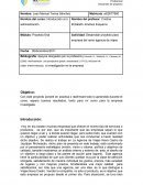 Desarrollar proyecto para empresa del ramo agencia de viajes