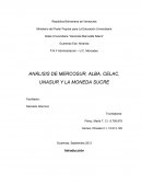 ANÀLISIS DE MERCOSUR, ALBA, CELAC, UNASUR Y LA MONEDA SUCRE