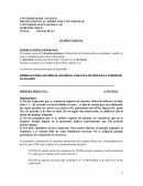 El examen consta de 2 pruebas prácticas. El desarrollo de la misma debe ser ordenado y legible
