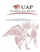 LAS OPORTUNIDADES DE INTERNACIONALIZACION PARA LA PEQUEÑA Y MEDIANA EMPRESA EN EL PERU