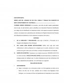 Redaccion de una demanda ejecucion nueva