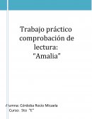 Comprobación de lectura: “Amalia”