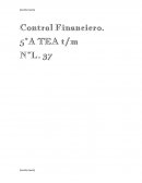 Control financiero - Proyecto final