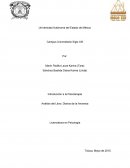 Análisis del Libro: Diarios de la Anorexia