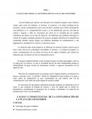 CAUSAS Y EFECTOS DE LA CONTAMINACIÓN EN LA PLAYA DE LOS ESTEROS