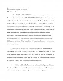 LA GRAN DEMANDA, JUICIO ESPECIAL DE ALIMENTOS. Página 1