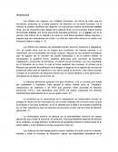 La Función Renal