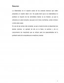 La Matemática es el soporte oculto de los avances técnicos