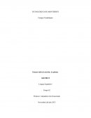 Ensayo sobre la novela: La ploma