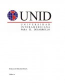 Tarea de mezcla de mercadotecnia