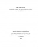 Anteproyecto practica INSTALACION DE REDES VOZ Y DATOS DE ELCTROVERA S.A.S BUCARAMNAGA