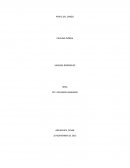 Perfil del cargo: Médico General.