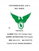 Informe Mensual de prácticas de Enfermería