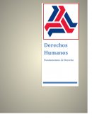 Los Derechos Humanos como reivindicaciones de unos bienes primarios