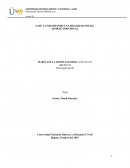 Psicologia familiar - explorando una realidad social