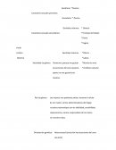 Perfil erótico afectivo