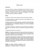 Practica Division Celular