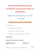 DIRIGIR Y PLANEAR EL PLAN DE ESTUDIO PROYECTO INTEGRADOR