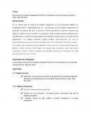 El consumo de la bebida energizante Red Bull en los estudiantes de la Universidad Privada del Norte, sede San Isidro