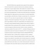 Movimiento de la revolucio caso de chiapas