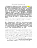 MODELO DE FORMULACIÓN DE LA IMPUTACIÓN.