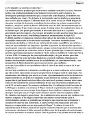 INVERSIÓN ACCIONES COMUNES