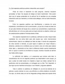 ¿Qué aspectos positivos pudieron desarrollar como equipo?