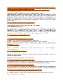 ORIGEN Y CORRIENTES FILOSOFICAS