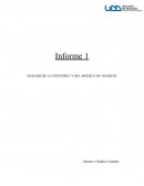 ANALISIS DE LA INDUSTRIA Y DEL MODELO DE NEGOCIO.