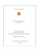 Ensayo sobre el alquimista