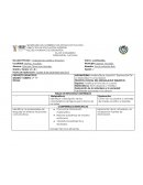 Formato de planeacion vinculacion