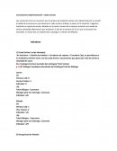 Conclusiones Implementación + datos ventas