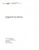 Integración de sistemas