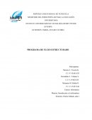 PROGRAMA DE FLUJO ESTRUCTURADO
