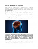 APRENDER A APRENDER Como Aprende El Cerebro
