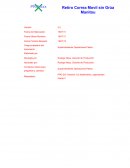 Tareas de Operaciones de Retiro de correas móviles en las plantas de Apilamiento 1 y 2