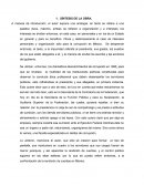 Síntesis de LA Constitución como medio de control