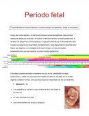 El período fetal se extiende desde la novena semana de gestación, hasta el nacimiento