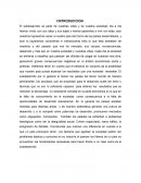 Sub desarrollo y desarrollo de la sociedad