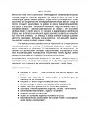 Conductas motoras integra los diferentes segmentos del cuerpo en forma correcta