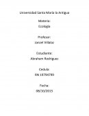 Ecologia. ¿Cuándo estará listo el sistema de saneamiento de la Bahía de Panamá?