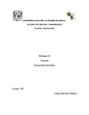 Biología - Diversidad Genética