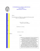 Contaminación del lago Titicaca en la población de Copacabana ¿cómo afecta a la actividad turística?