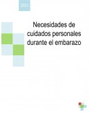 Necesidades de cuidados personales durante el embarazo