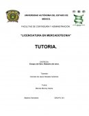 Ensayo del libro: Maestría del amor.