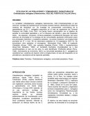 Parásitos de Pintadilla