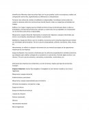 Actividad: Activos fijos de una empresa