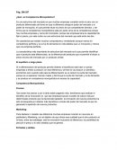 Reseña sobre La competencia monopolística